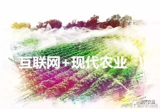 重庆:加快"互联网 "现代农业发展实施方案