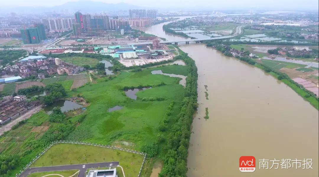 江门开平这里将建一个湿地生态公园,首期就有100多亩!