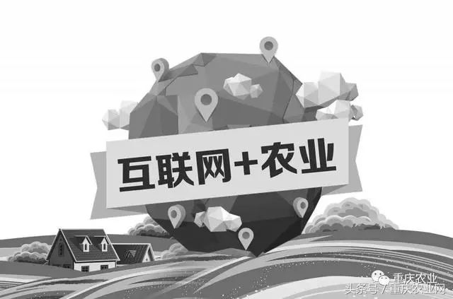 重庆加快互联网现代农业发展实施方案