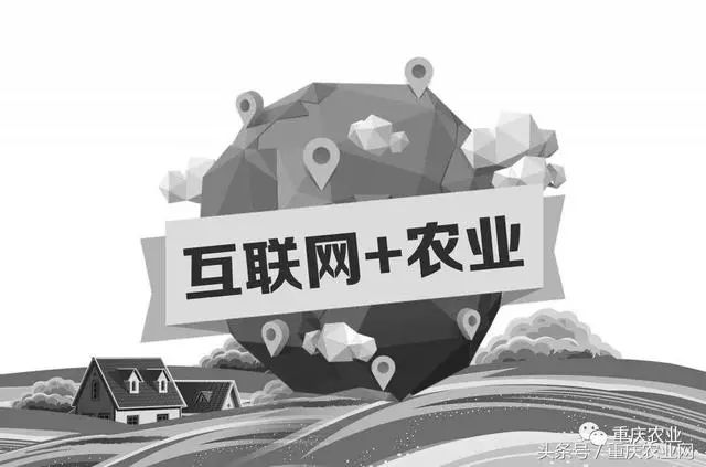 重庆:加快"互联网 "现代农业发展实施方案