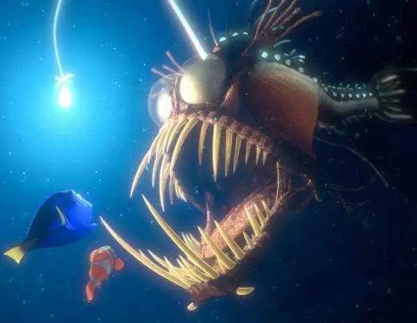 海底黑就随便长长? 杜克研究揭秘深海鱼专利"黑"科技
