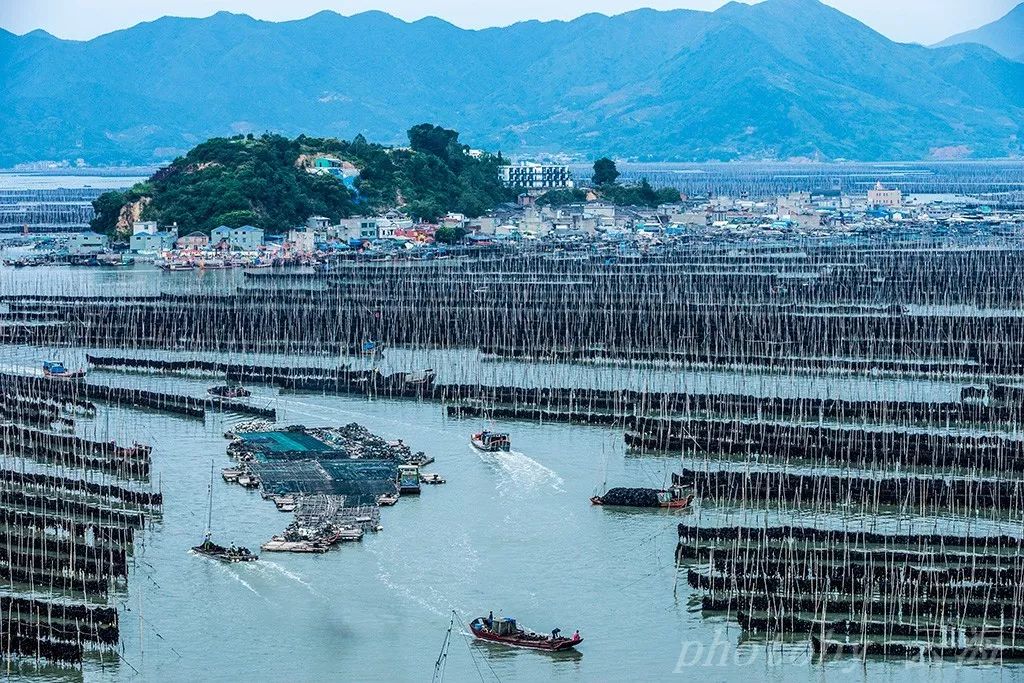 福建霞浦沙江村s湾民居海带场