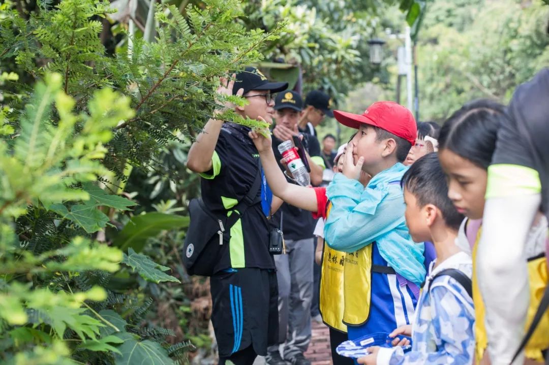 挺近自然快乐一夏蒲公英研学夏令营