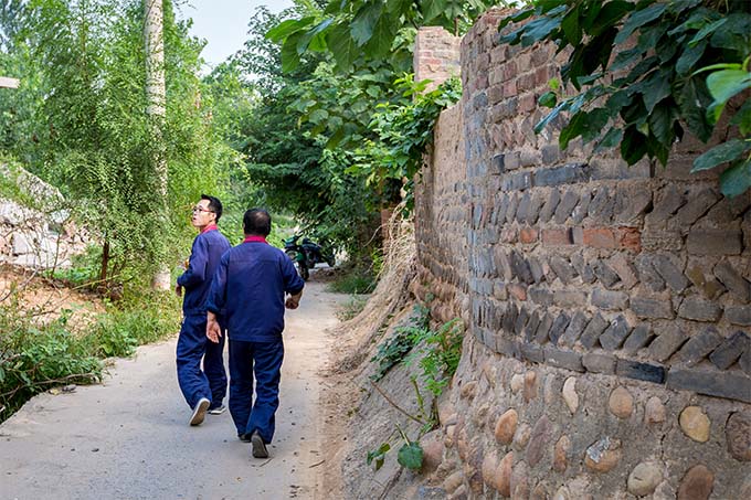 河南安阳伦掌镇西柏涧村,村内房倒屋塌,杂草丛生.