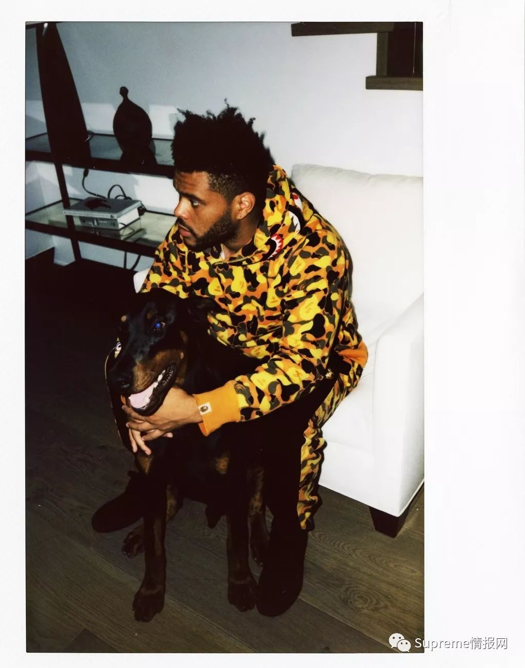 theweeknd.com