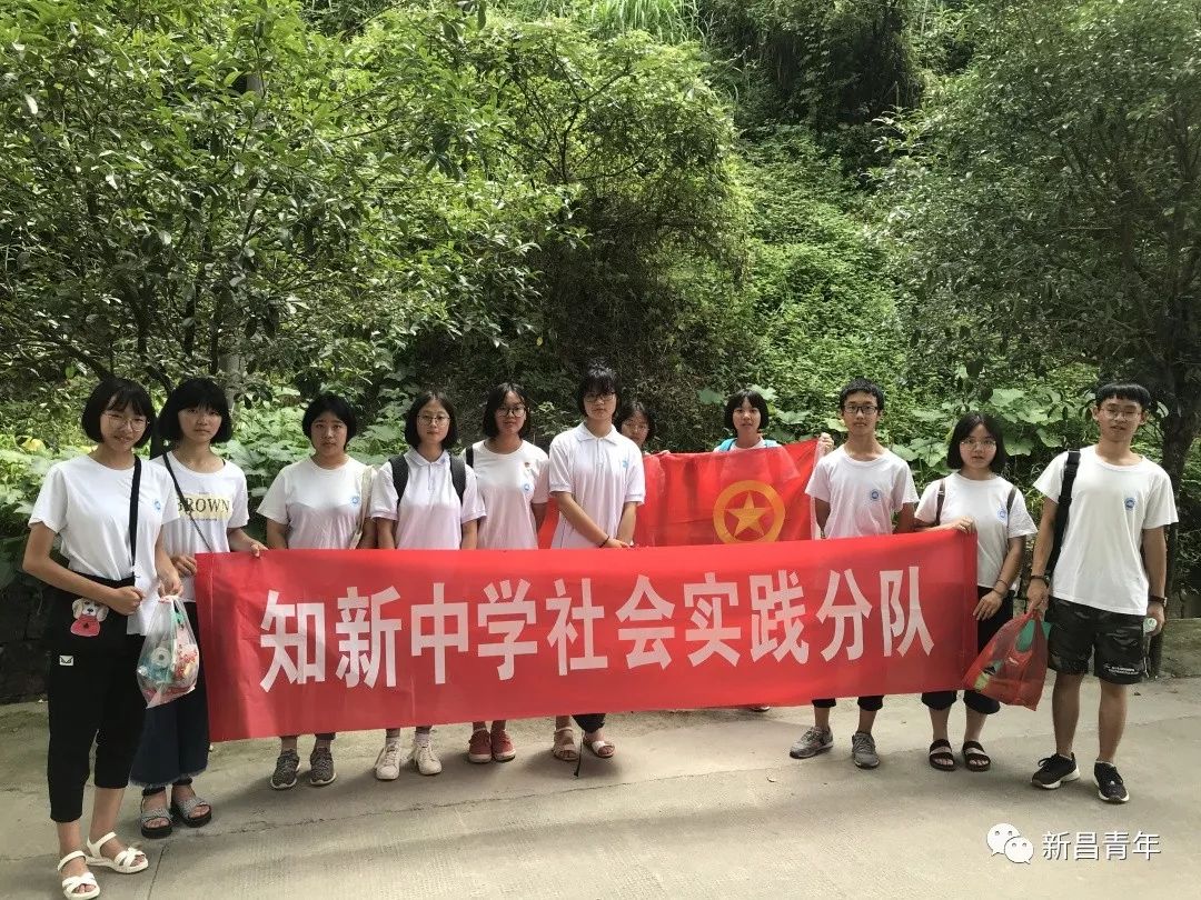 快乐过暑假实践助成长新昌中小学生暑期社会实践活动集锦