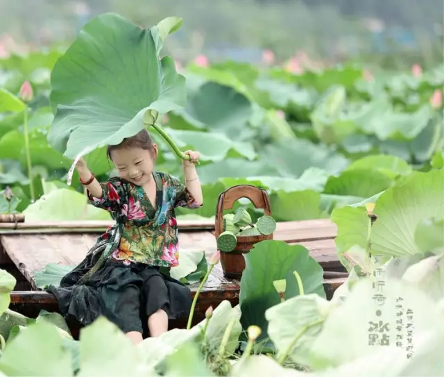 随风摇摆的姿态, 刹时,皱起一湖碧水, 绿罗碎影逐波来, 五月船头采莲