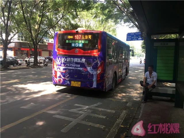 近年来,潮州市陆续投入使用新能源纯电动公交车,取代原先以柴油为能源