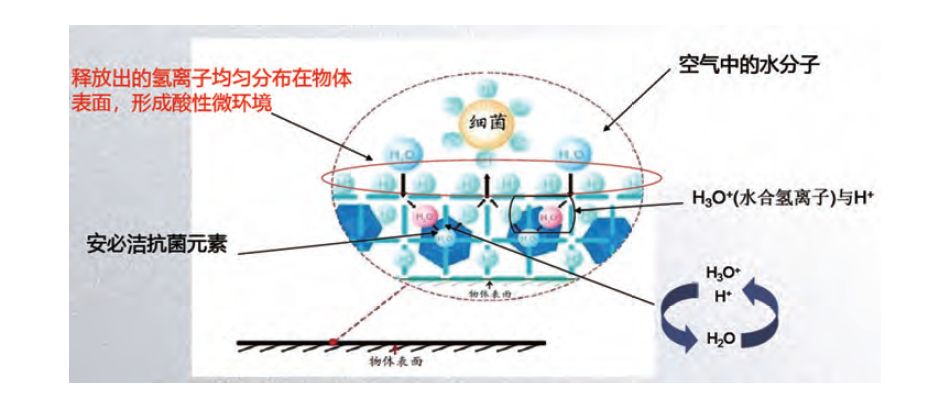 基于酸性抗菌机理的安必洁表面抗菌技术及应用研究上