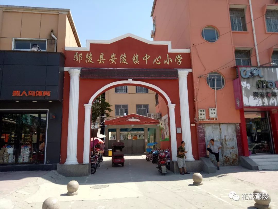 鄢陵县安陵镇中心小学学区:西街社区,南街社区南大街路西七,八,九,十