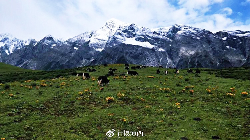 【行程安排】:古城周边接人→丽江最美公路→玉龙雪山风景区→牦牛坪