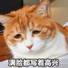 猫日就是一只田园橘猫,主人是@著名网黄猫日,以其满脸写着丧的表情而