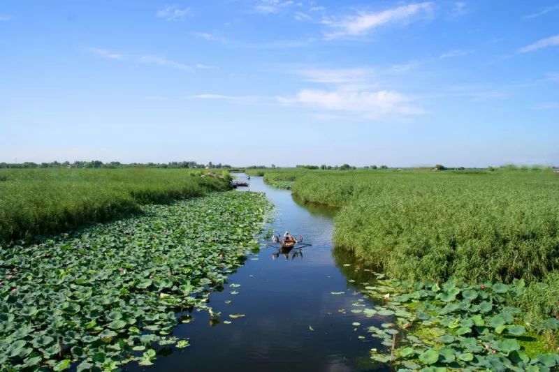 据悉,保定市地处白洋淀上游,境内属于海河流域大清水河系,所有河流均