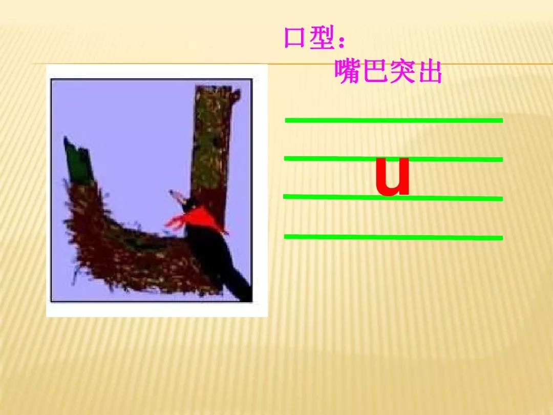 汉语拼音 韵母u 学习