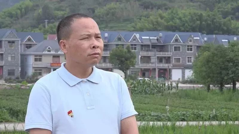 张建宏,周春德:只领一元报酬的村官"好搭档" 在遂昌县新路湾镇的蕉