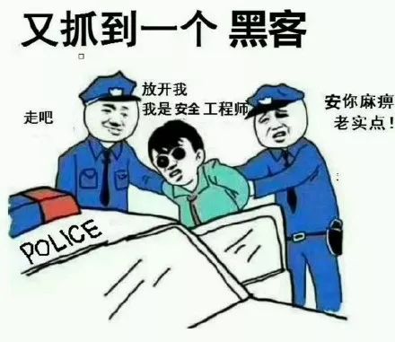 gif趣图放开我我是安全工程师