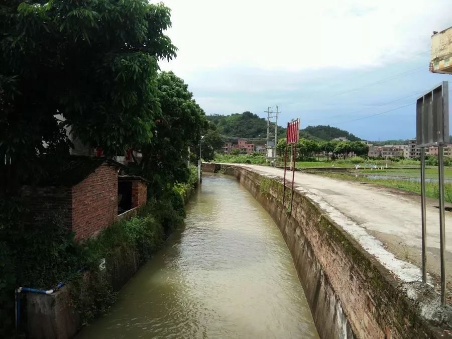 大变样|从"臭水沟"到"清水沟—太平镇河村居委西渠之变