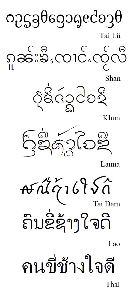 据说,人口六七千万的傣族,有着十几种文字?
