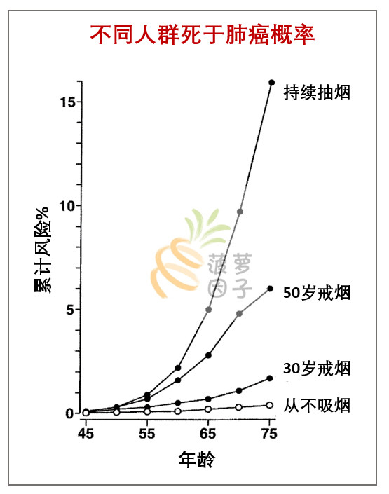 全球五分之一的人口_矿泉水五分之一是多少(2)