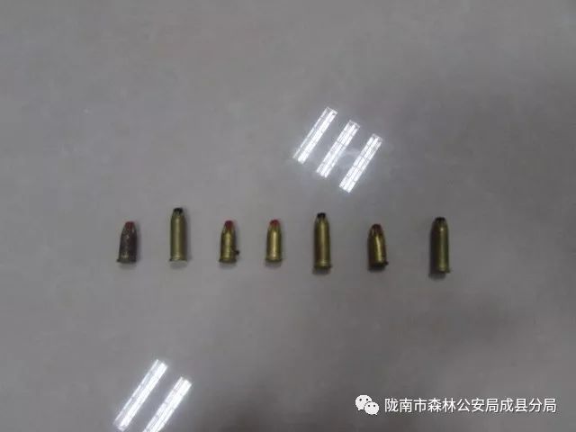 发现车上载有一把自制改装射钉枪,7发专用射钉弹和野鸡死体一只,我局