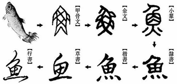 文字又有怎样的历史代表和演变,跟随老师,一起去学习"汉字"文化的发展