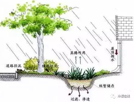 "雨水花园"工作原理图示