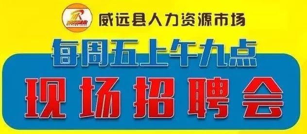 市场咨询招聘_郑州 街头招工市场节后火爆(4)