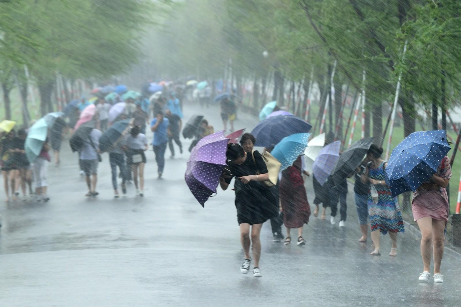 乌云狂风暴雨!台风"云雀"来袭