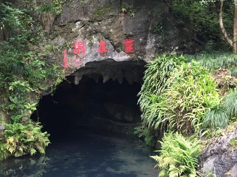 高温天,桑拿天,统统都来,你来我走!找个地方避避暑