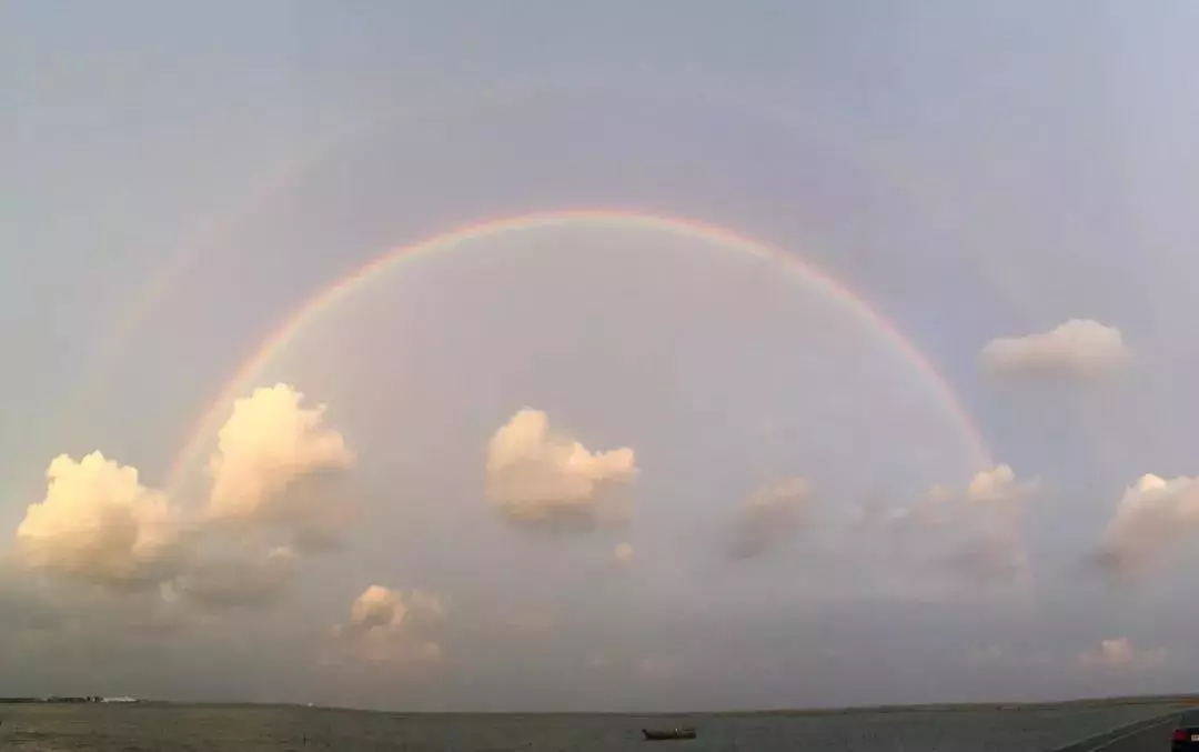 实拍!昨晚大风大浪降至上海,现场画面竟如此恐怖!