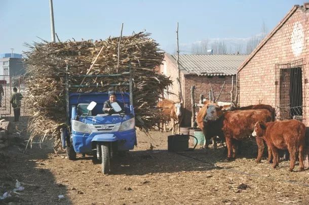 厉害了山西这36个地方在全国出名的机会来了赶紧看看有你家乡吗