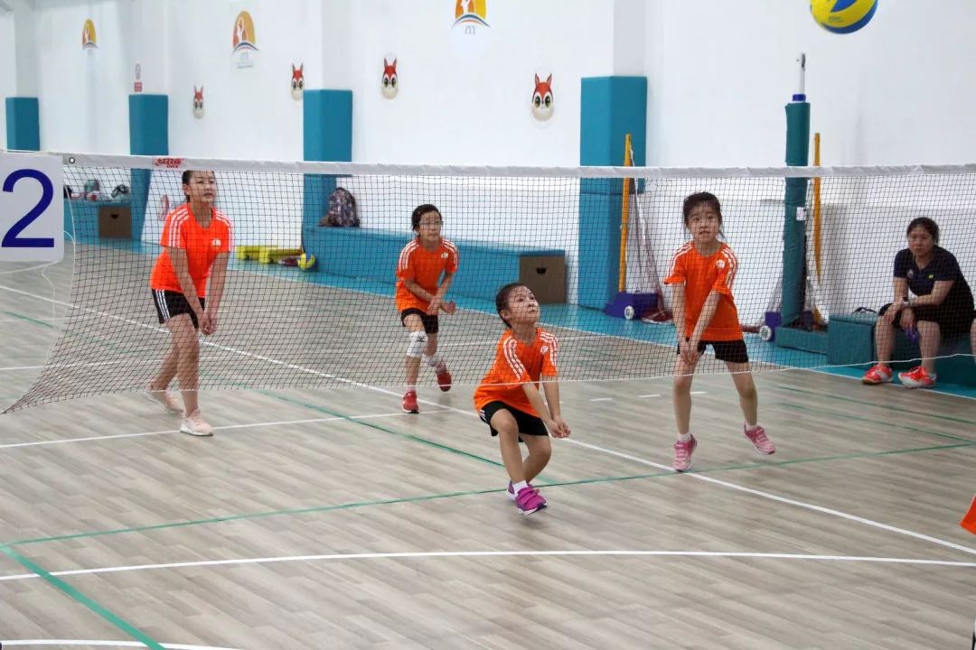 【公益夏令营】2018"动感假期"上海市青少年体育(排球