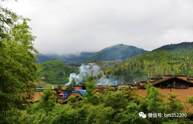 古田县卓洋乡树兜村