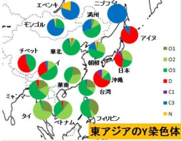 各国解决人口_人口老龄化的解决措施(2)