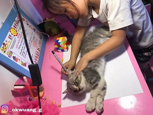 老師布置作業讓小女孩畫貓，幸虧家裏有貓···-雪花新聞