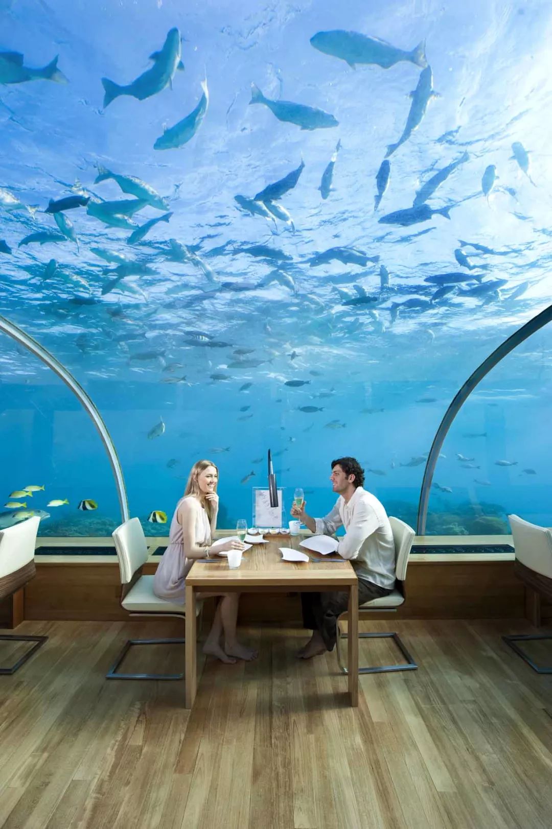 马尔代夫特色水下餐厅介绍 - 知乎
