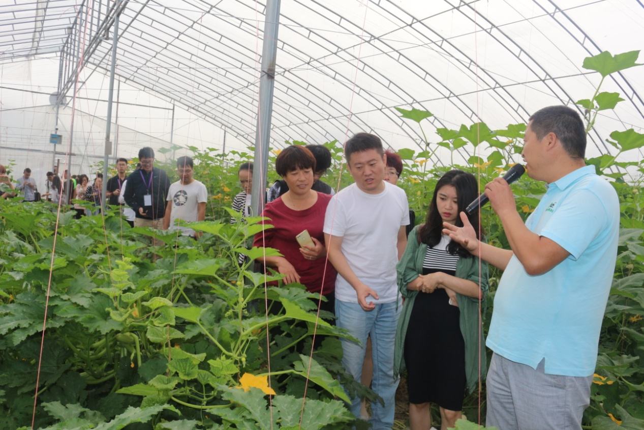 韩国乡村人口占比_韩国的入境旅游占比