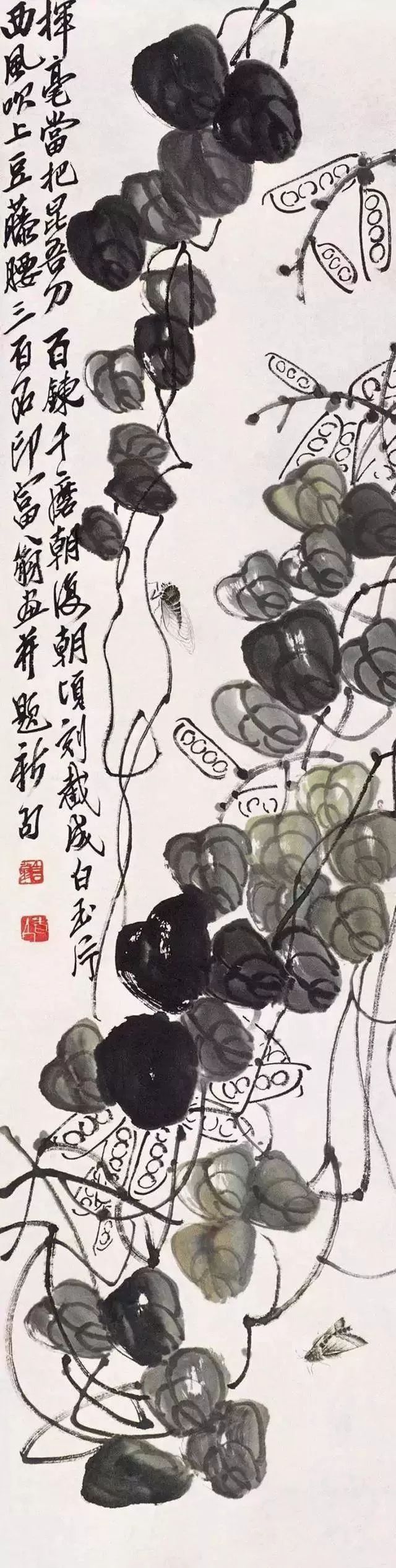 齐白石88岁画的蝉进来尖叫吧