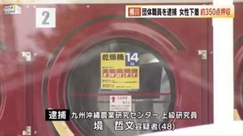 洗衣店 内衣 内裤_美女内衣内裤