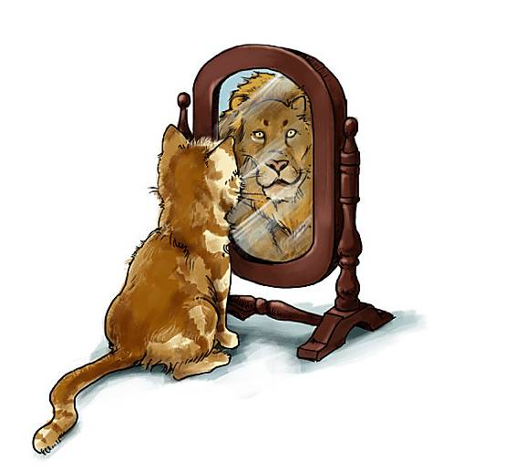 绘本故事狮子照镜子怎么才能让孩子遇到危险的时候沉着冷静地面对呢