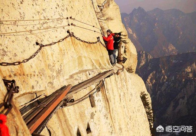 华山栈道跳崖事件中你认为景区有责任吗