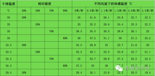 2,鸡舍负压六,鸡舍温度及光照