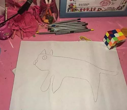 老師布置作業讓小女孩畫貓，幸虧家裏有貓···-雪花新聞