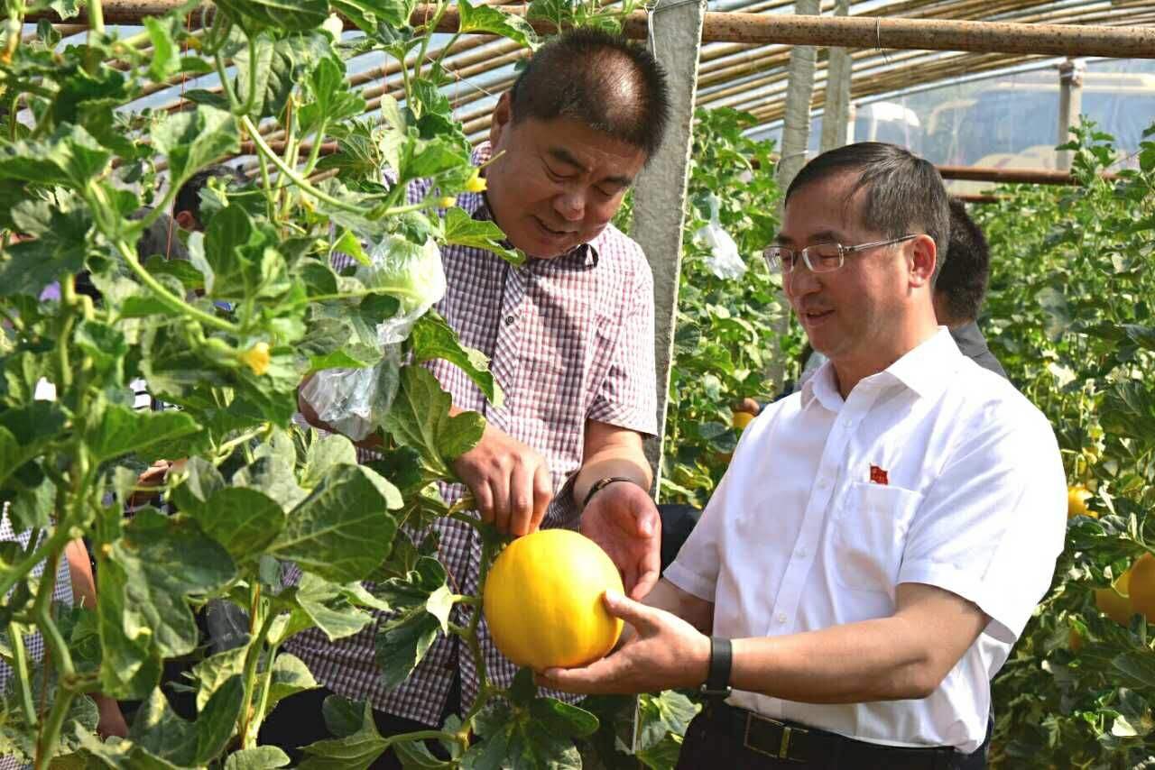 农村城市人口比例_中国各省农村人口占比排名!