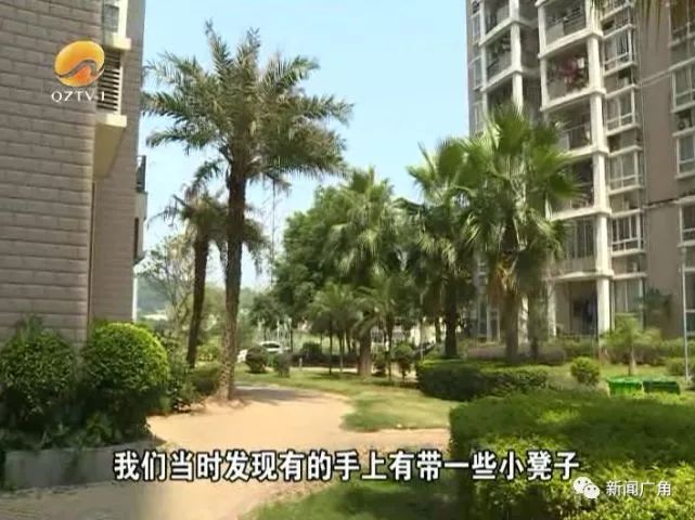 OB体育南安：木棍支撑高压线整栋楼房瞬间带电；泉州28名男女同挤一屋警方破门而入；晋江：越野车自动驾驶？(图6)