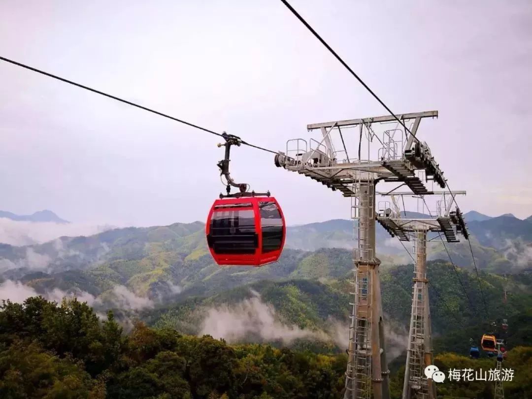 来源:梅花山旅游