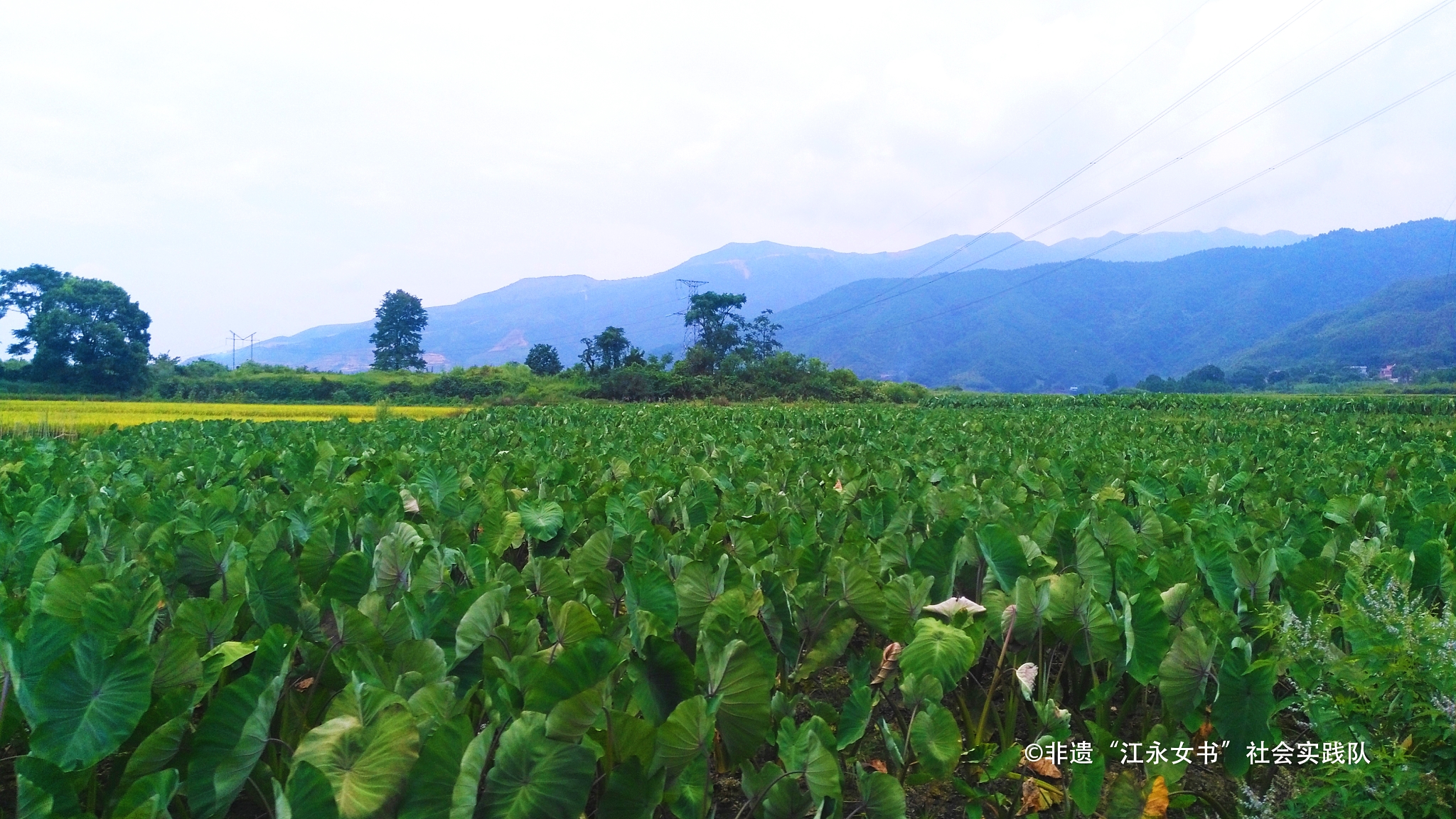 夏湾村:上善若水的女书传承探寻