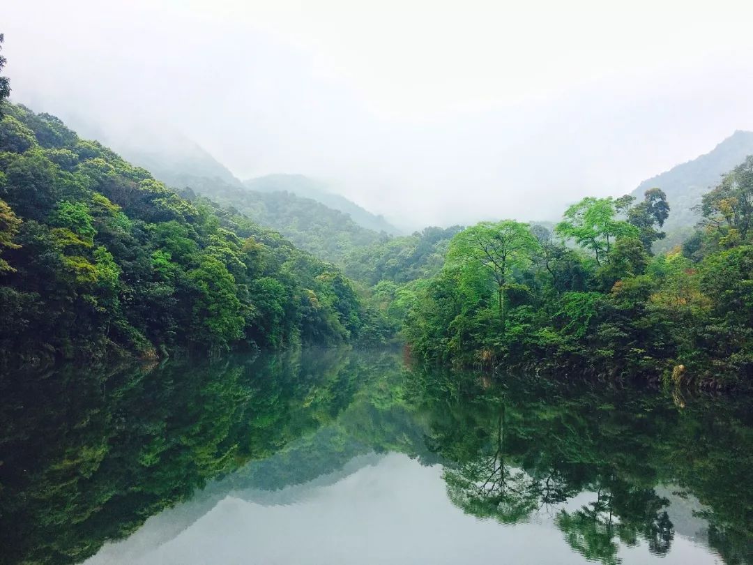 《掌阅惠州》惠州有一个去处,非常适合用来避一"夏"