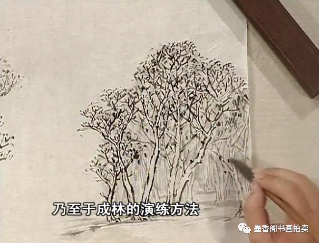 随时随地学国画王飞飞芥子园画谱之青山绿水高清24讲原版6dvd