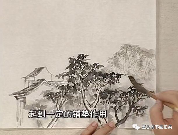 随时随地学国画王飞飞芥子园画谱之青山绿水高清24讲原版6dvd